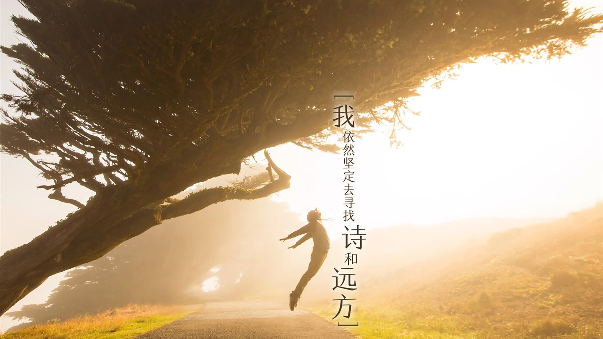 开云官网-跨界传奇，当拉齐奥拿下苏格兰，萨内于NBA总决赛接管比赛