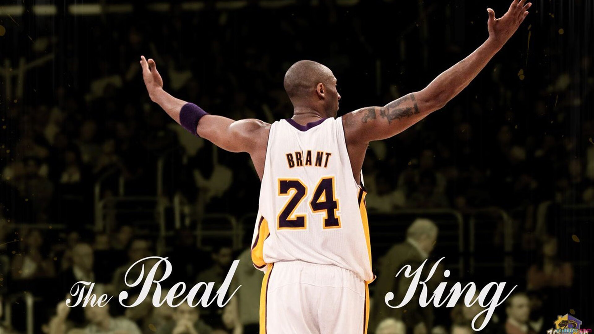 字母哥存在感拉满,雄鹿打穿热火,一场统治级的东部对决