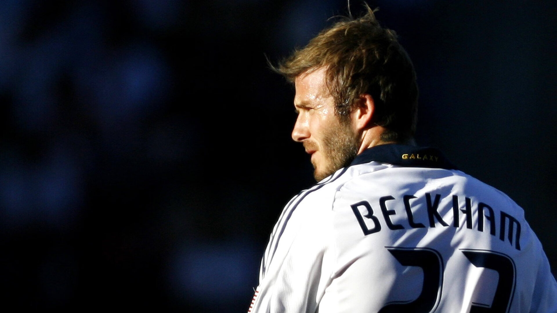 武切维奇,当唯一成为武器—公牛撕裂黄蜂防线的永恒瞬间